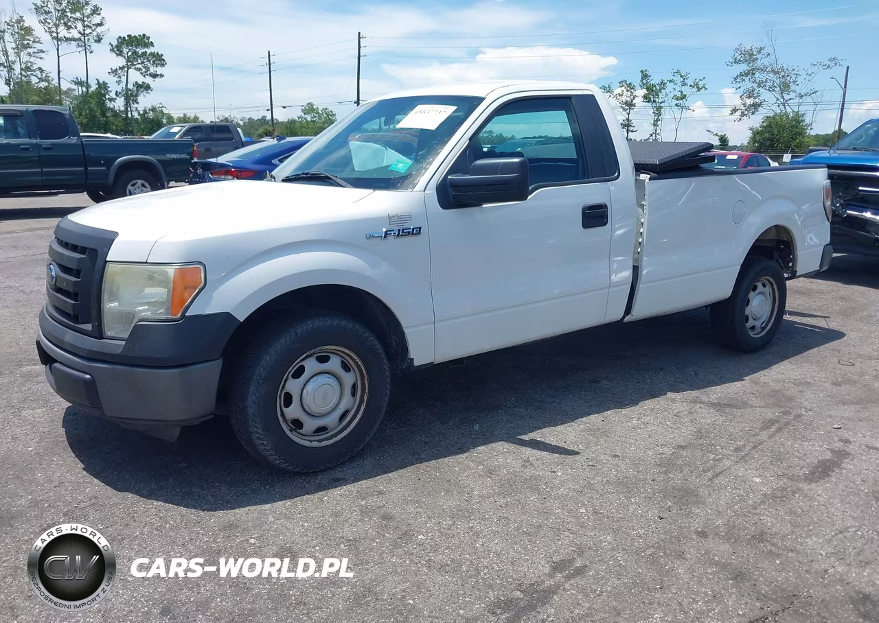 2013 Ford F-150 Stx-Xl-Xlt VIN:1FTMF1CM5DKF49093 - 2