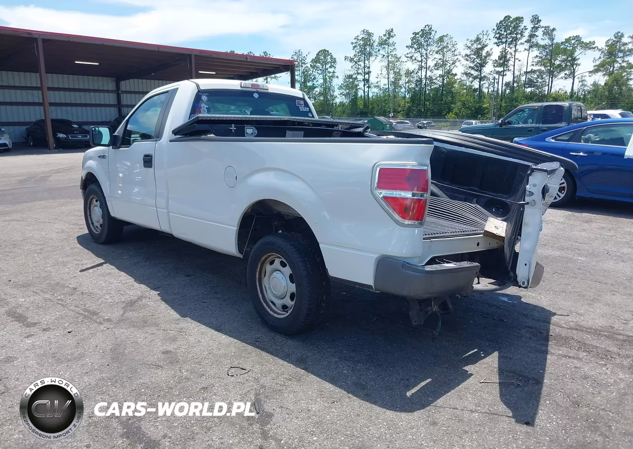 2013 Ford F-150 Stx-Xl-Xlt VIN:1FTMF1CM5DKF49093 - 3