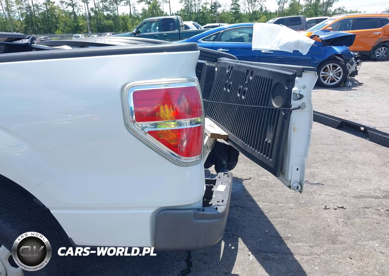 2013 Ford F-150 Stx-Xl-Xlt VIN:1FTMF1CM5DKF49093 - 6