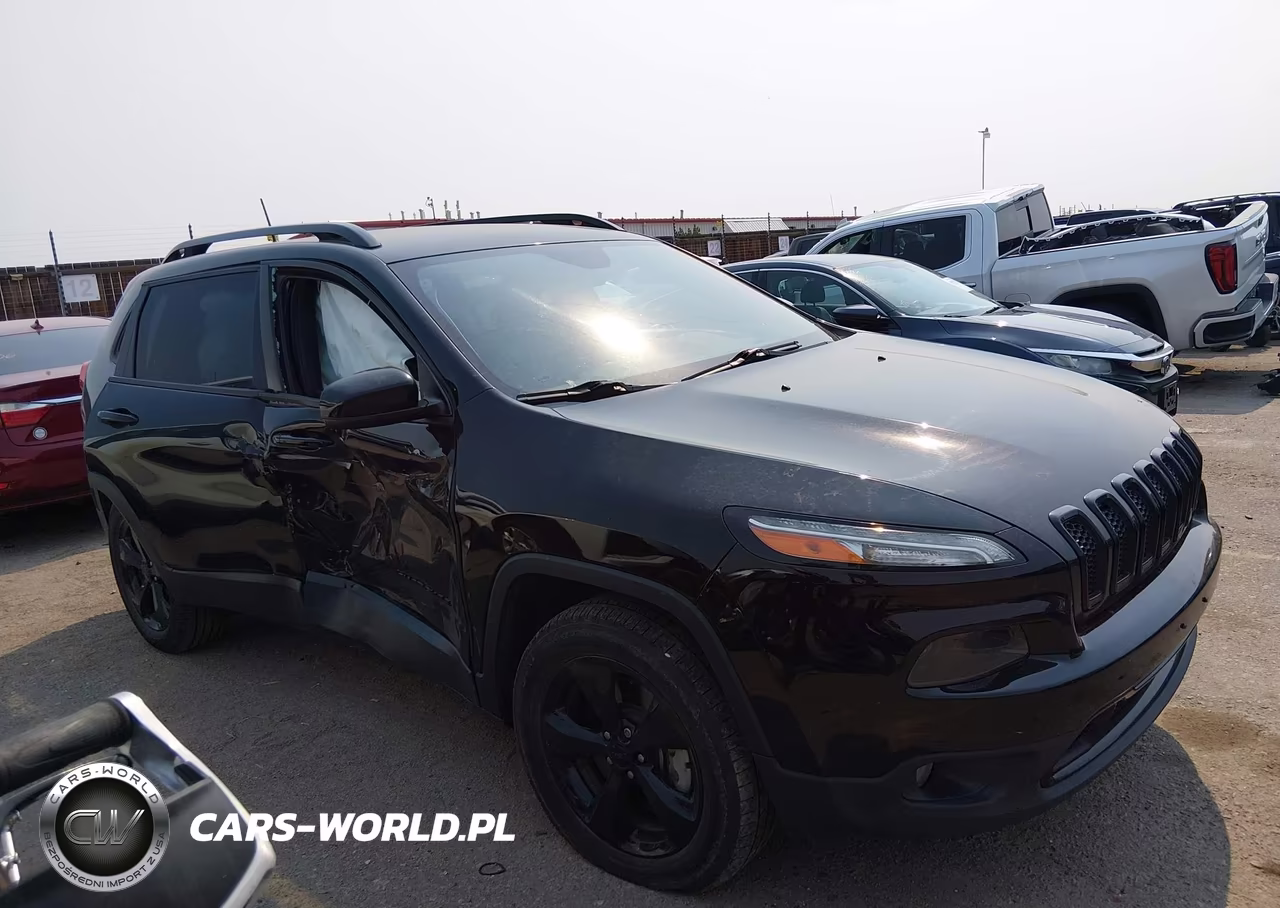 2018 Jeep Cherokee Limited 4X4 VIN:1C4PJMDX9JD541701 - 13
