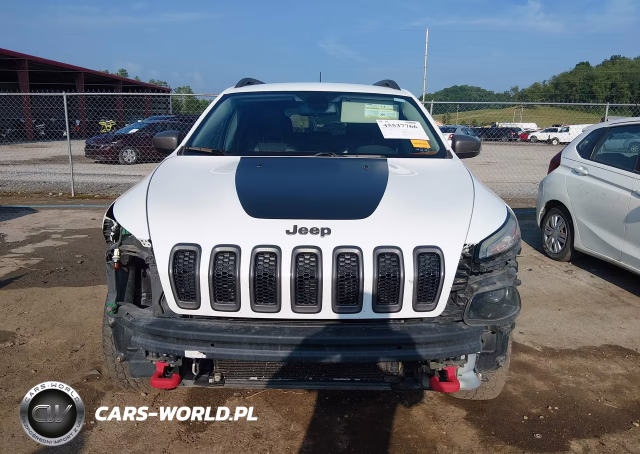 2016 Jeep Cherokee Trailhawk VIN:1C4PJMBS1GW156119 - 13