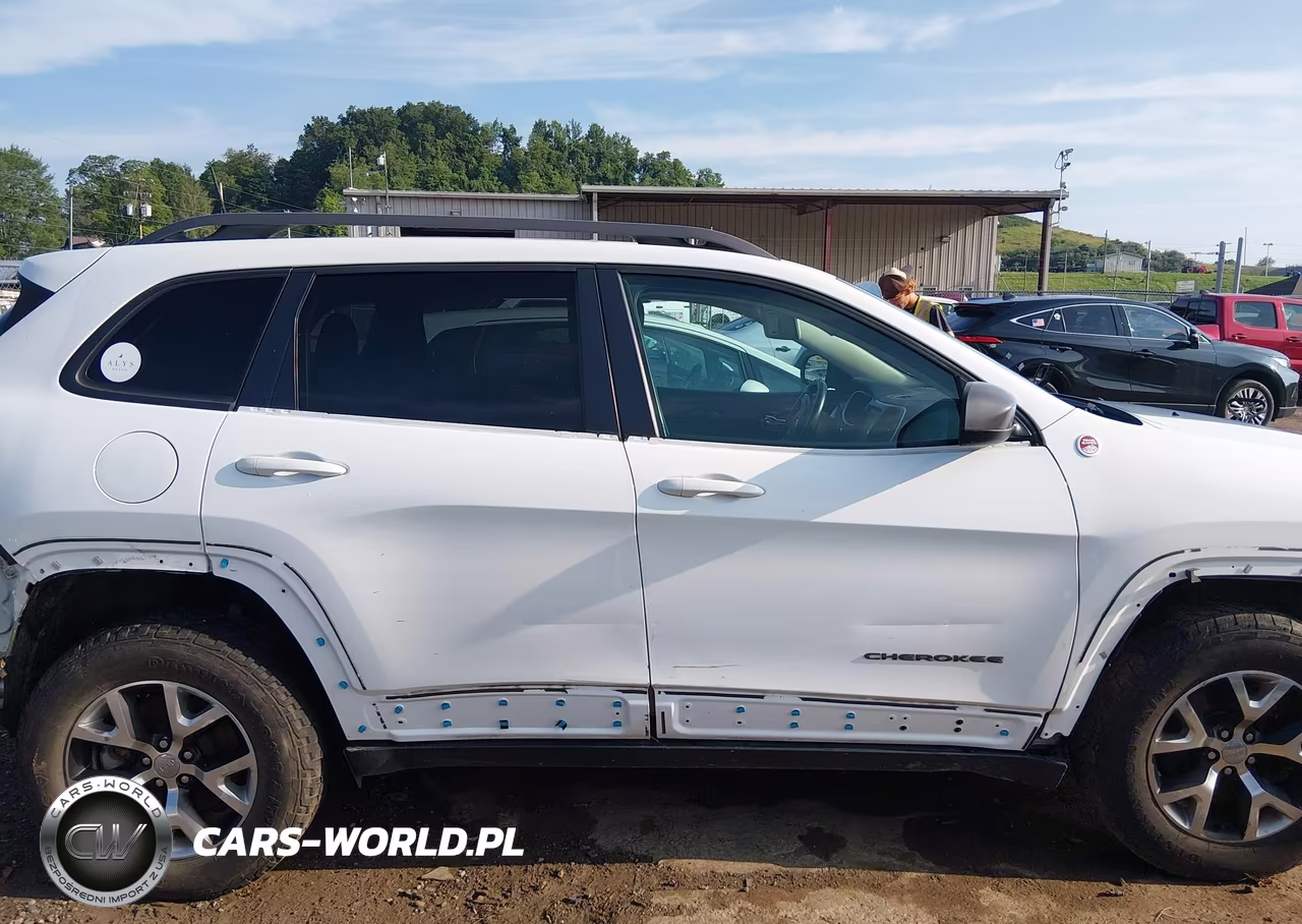 2016 Jeep Cherokee Trailhawk VIN:1C4PJMBS1GW156119 - 14