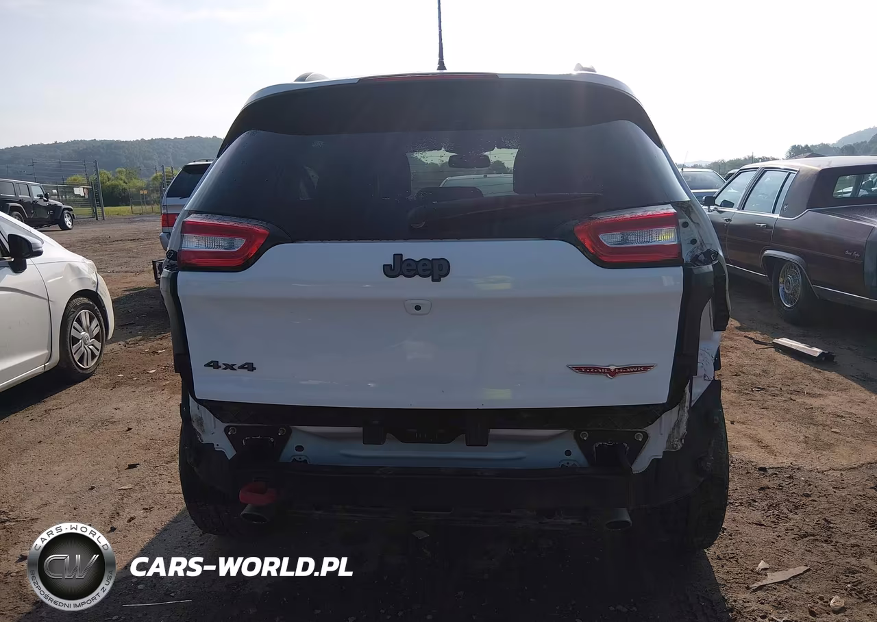 2016 Jeep Cherokee Trailhawk VIN:1C4PJMBS1GW156119 - 18