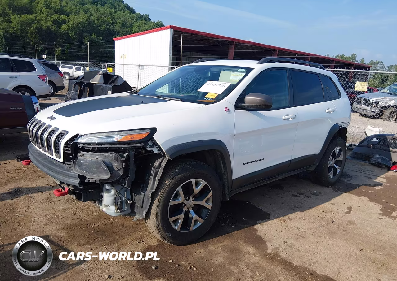 2016 Jeep Cherokee Trailhawk VIN:1C4PJMBS1GW156119 - 2