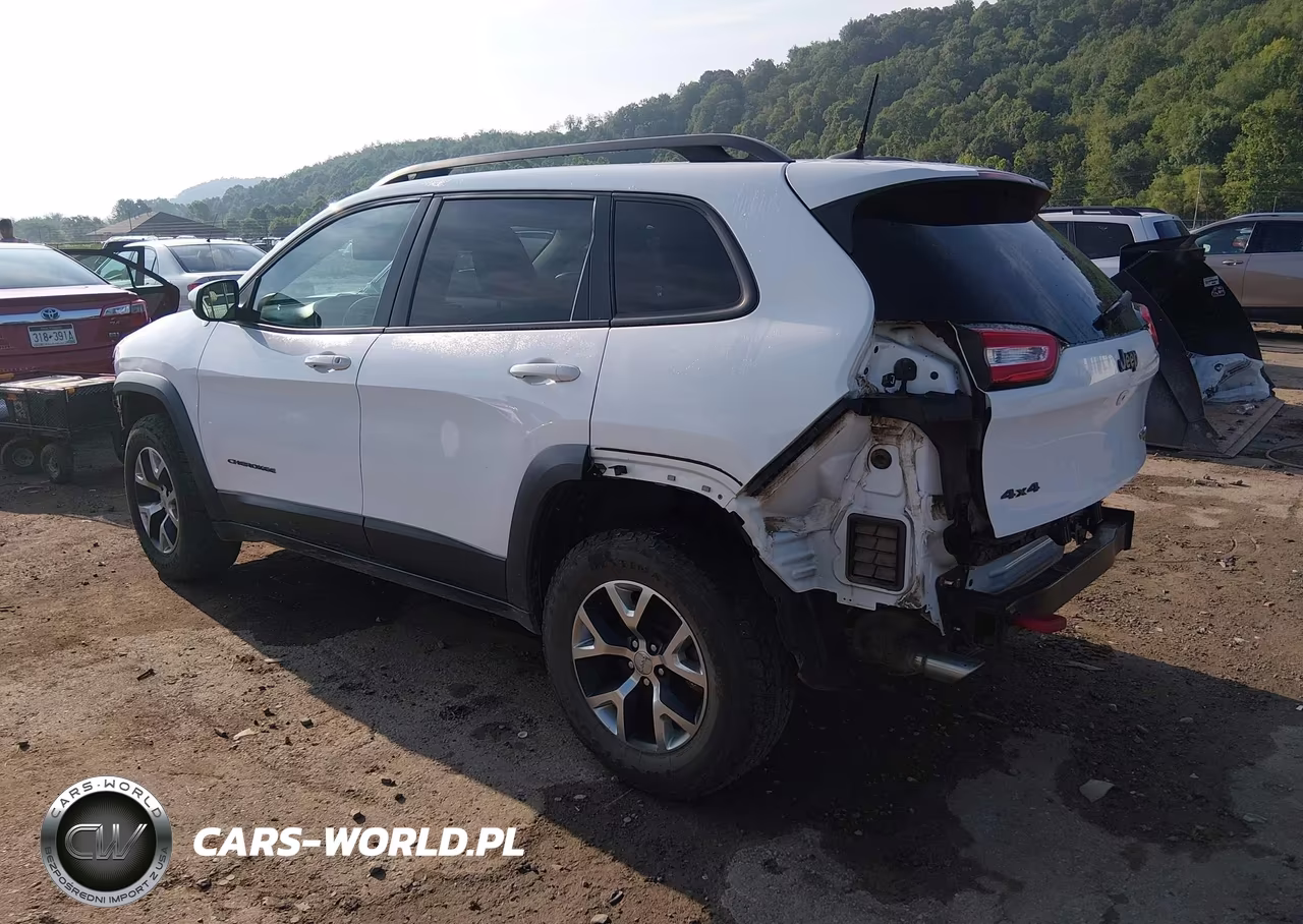 2016 Jeep Cherokee Trailhawk VIN:1C4PJMBS1GW156119 - 3