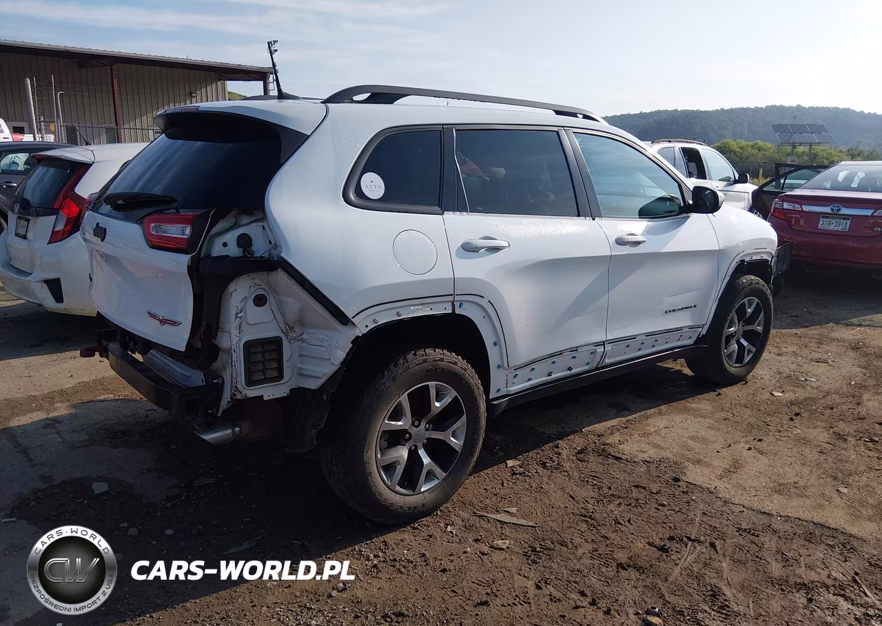 2016 Jeep Cherokee Trailhawk VIN:1C4PJMBS1GW156119 - 4