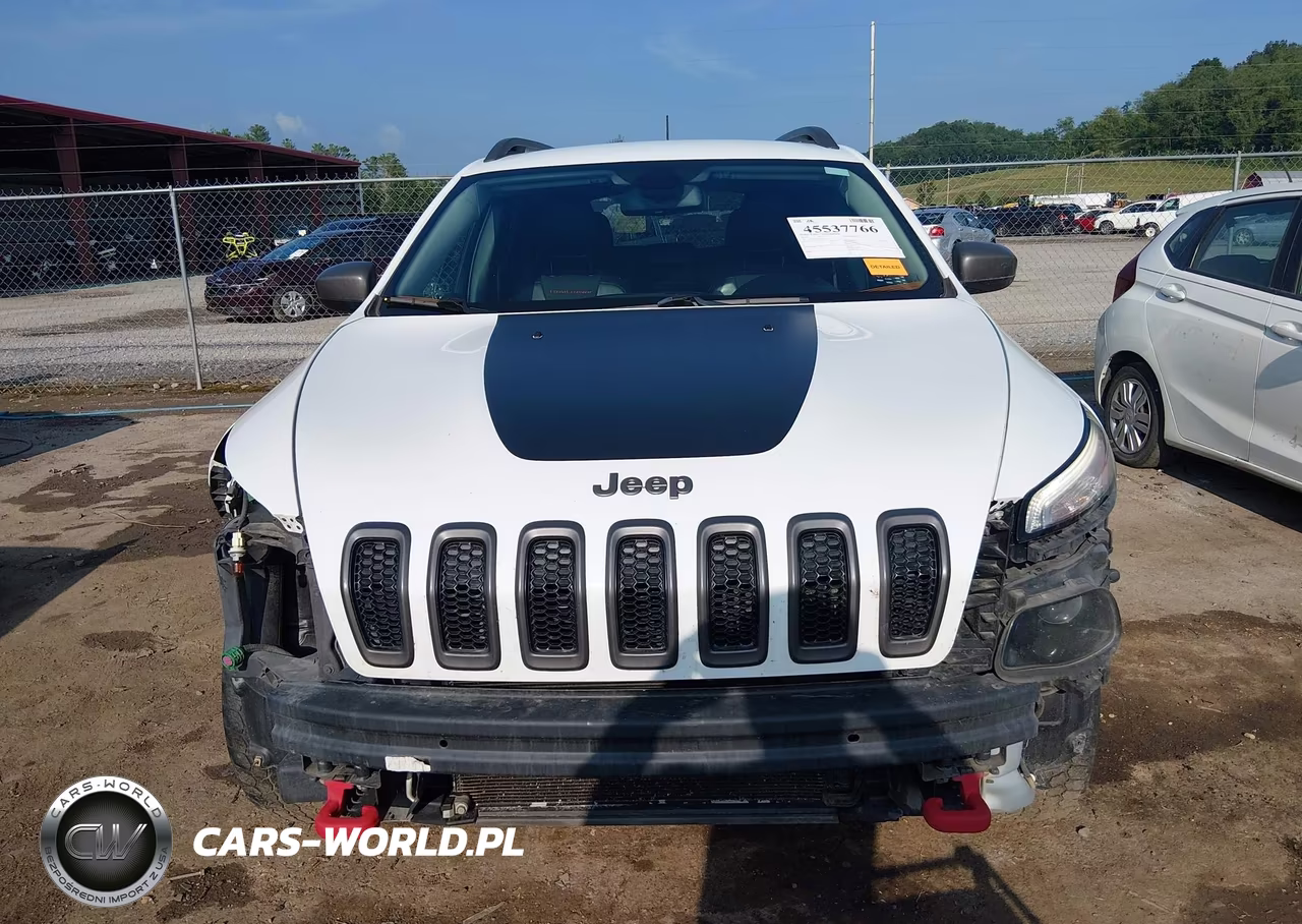 2016 Jeep Cherokee Trailhawk VIN:1C4PJMBS1GW156119 - 6