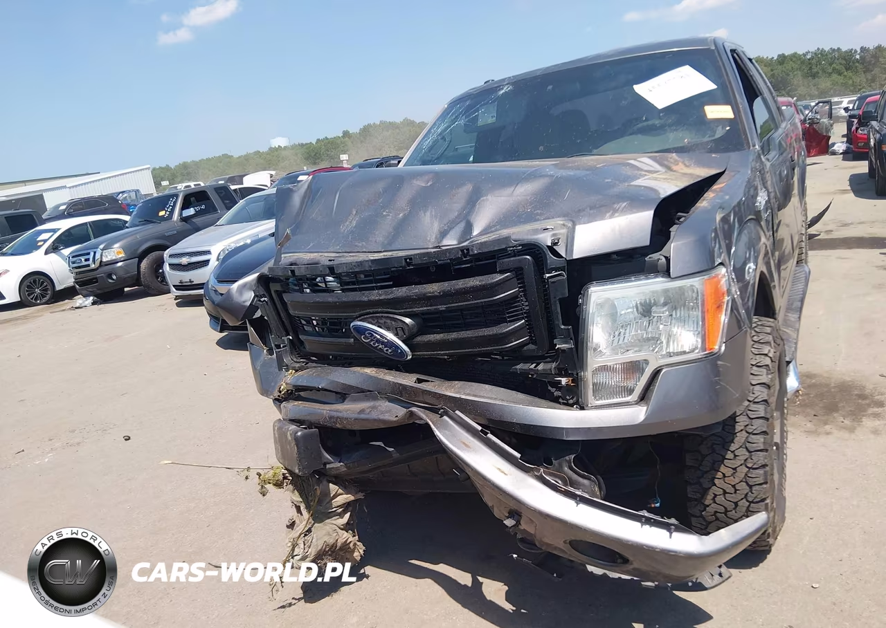 2014 Ford F-150 Stx VIN:1FTEX1EM1EFC88702 - 12