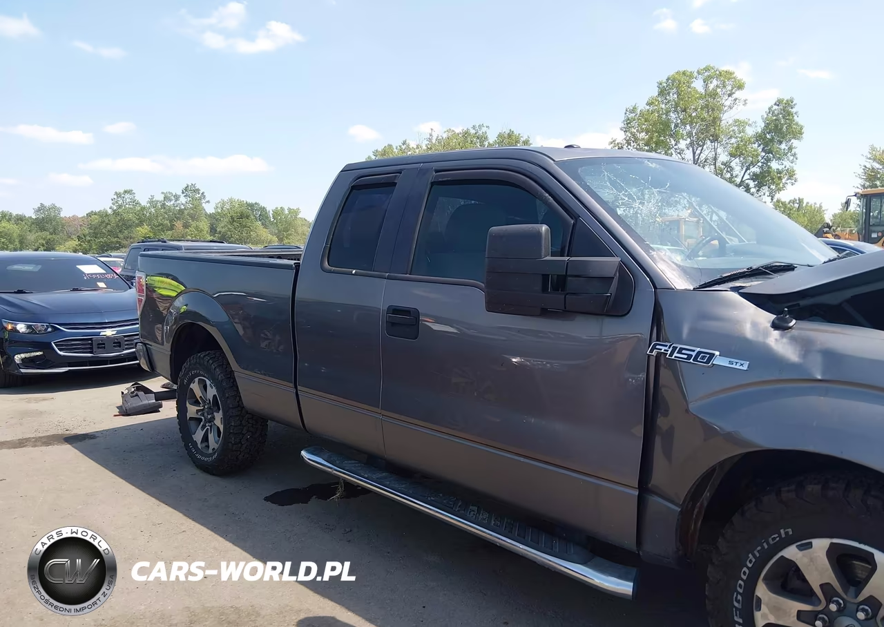 2014 Ford F-150 Stx VIN:1FTEX1EM1EFC88702 - 13