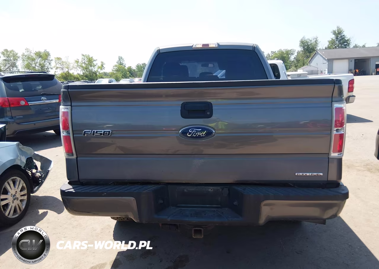 2014 Ford F-150 Stx VIN:1FTEX1EM1EFC88702 - 16