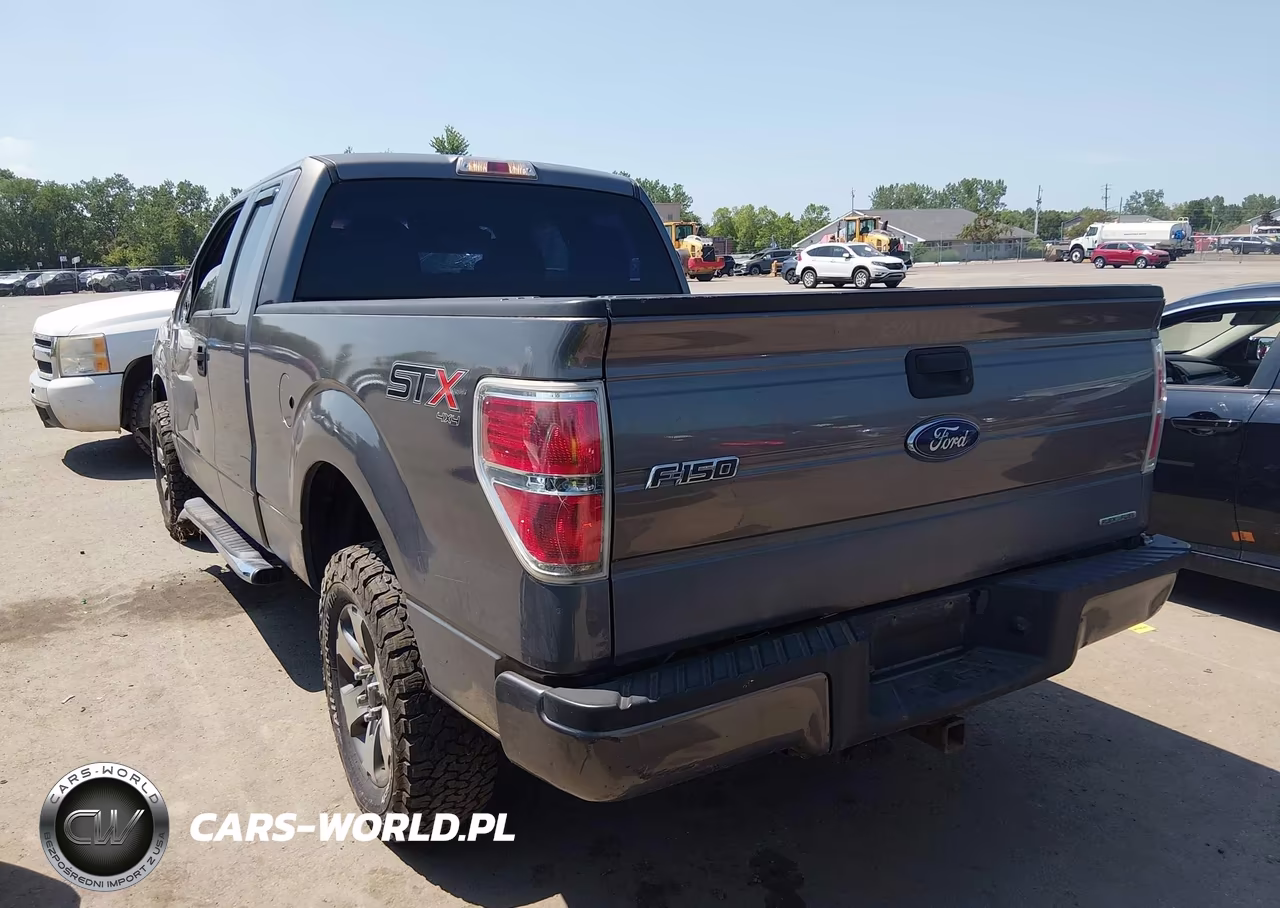 2014 Ford F-150 Stx VIN:1FTEX1EM1EFC88702 - 3