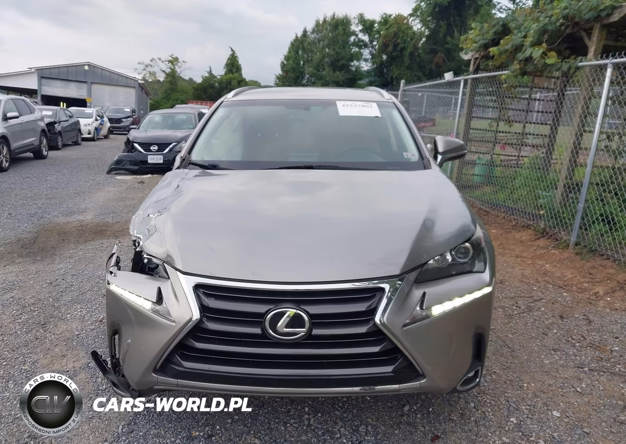 2015 Lexus Nx 200T VIN:JTJYARBZ0F2009906 - 13