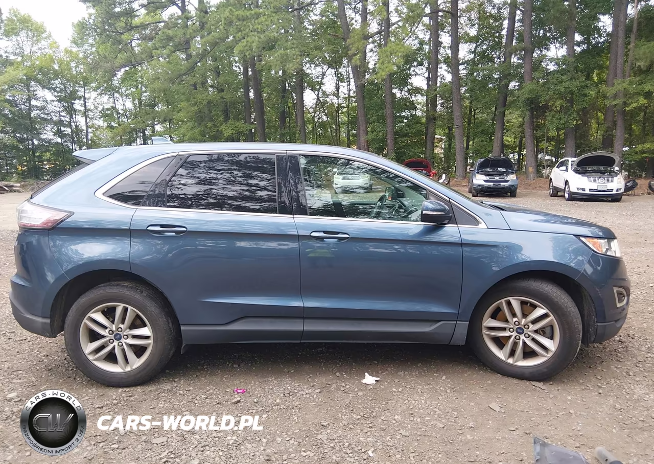 2018 Ford Edge Sel VIN:2FMPK4J86JBB69925 - 13