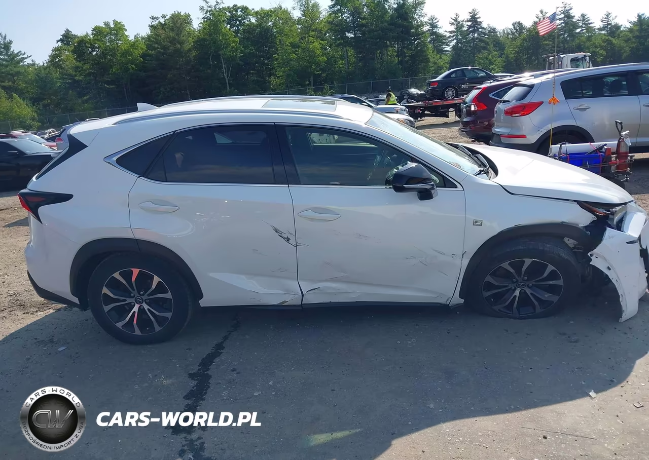 2017 Lexus Nx 200T F Sport VIN:JTJBARBZ5H2132934 - 14