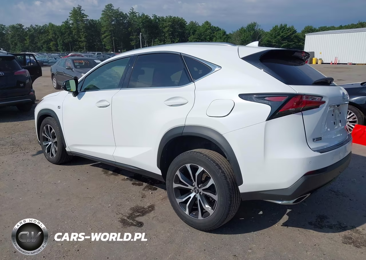 2017 Lexus Nx 200T F Sport VIN:JTJBARBZ5H2132934 - 3