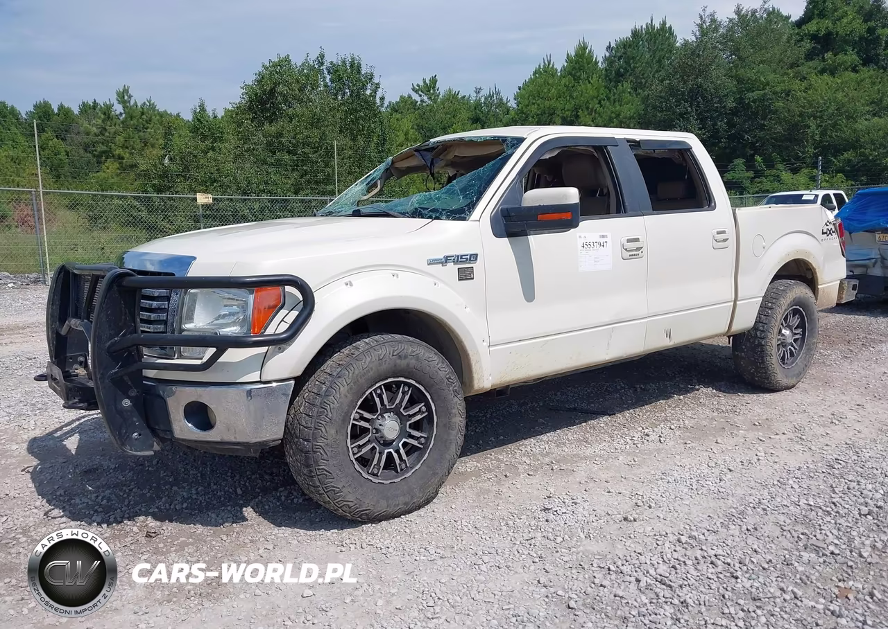 2009 Ford F-150 Fx4-King Ranch-Lariat-Platinum-Xl-Xlt VIN:1FTPW14VX9KC79273 - 2