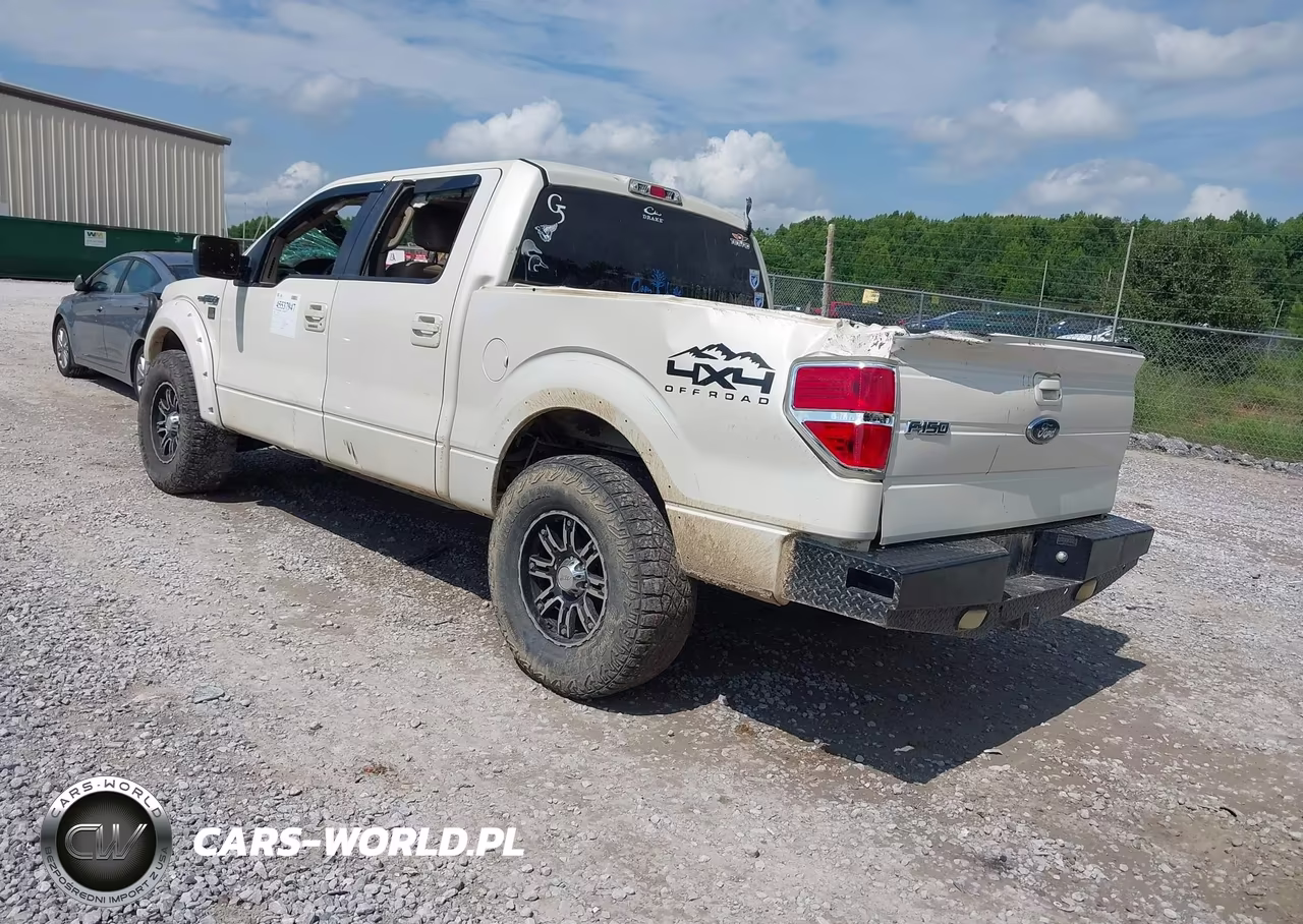 2009 Ford F-150 Fx4-King Ranch-Lariat-Platinum-Xl-Xlt VIN:1FTPW14VX9KC79273 - 3