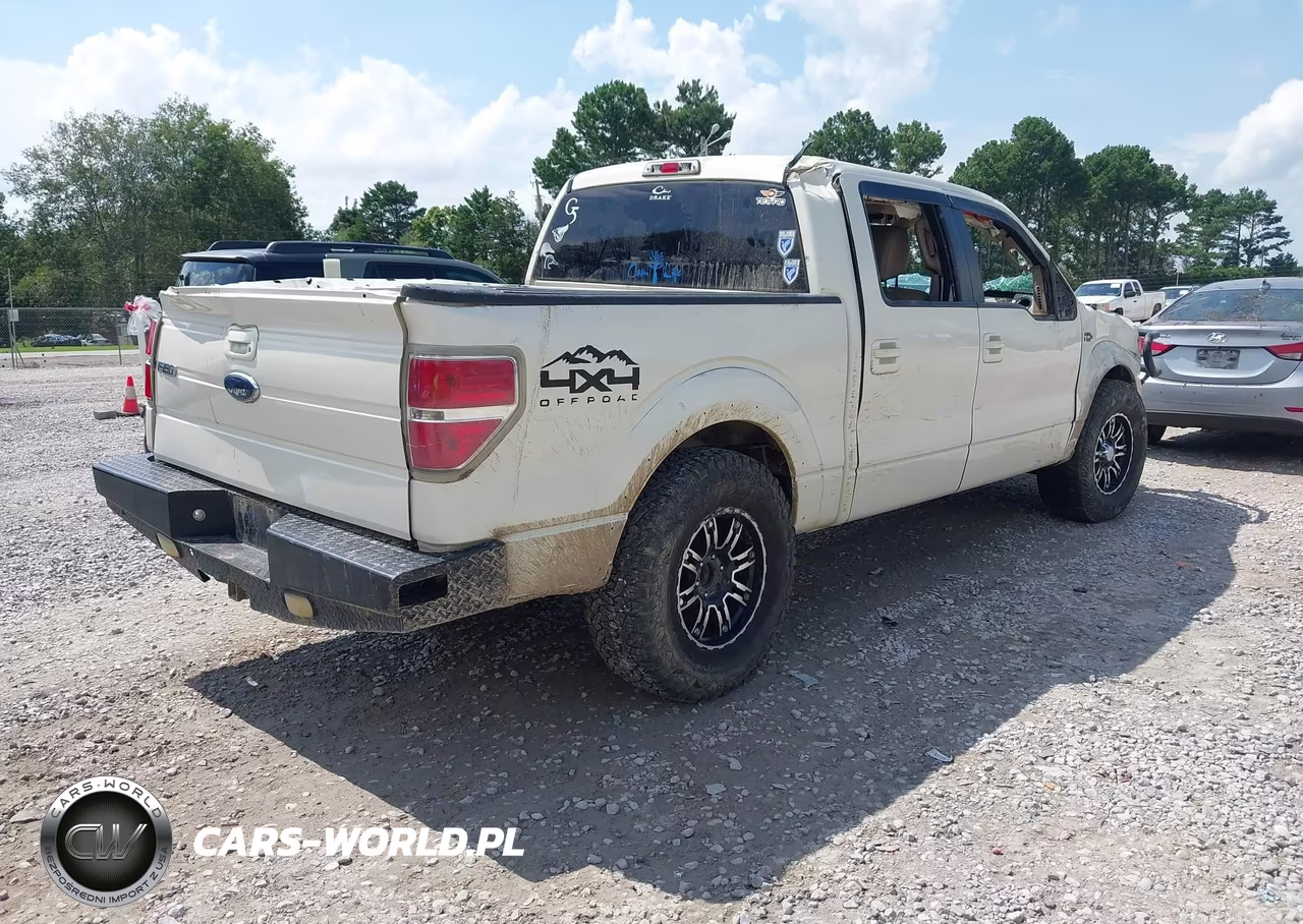 2009 Ford F-150 Fx4-King Ranch-Lariat-Platinum-Xl-Xlt VIN:1FTPW14VX9KC79273 - 4