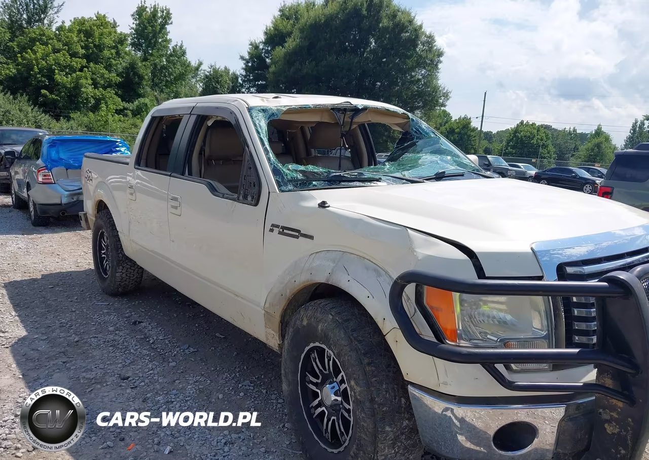 2009 Ford F-150 Fx4-King Ranch-Lariat-Platinum-Xl-Xlt VIN:1FTPW14VX9KC79273 - 6