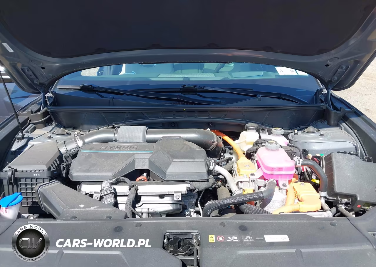 2025 Hyundai Tucson Hybrid Limited VIN:KM8JEDD1XSU264513 - 10