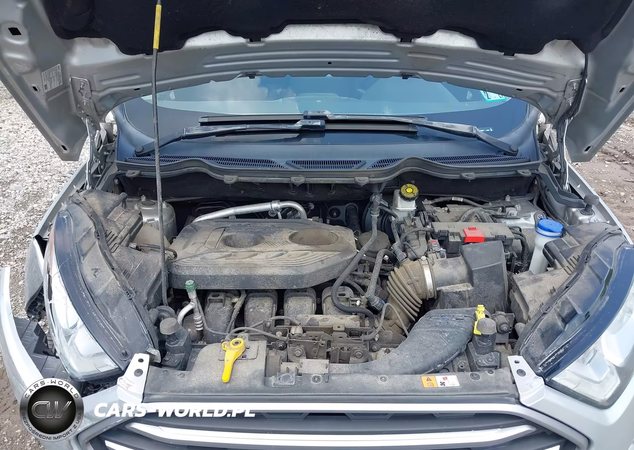 2020 Ford Ecosport Se VIN:MAJ6S3GL3LC337969 - 10