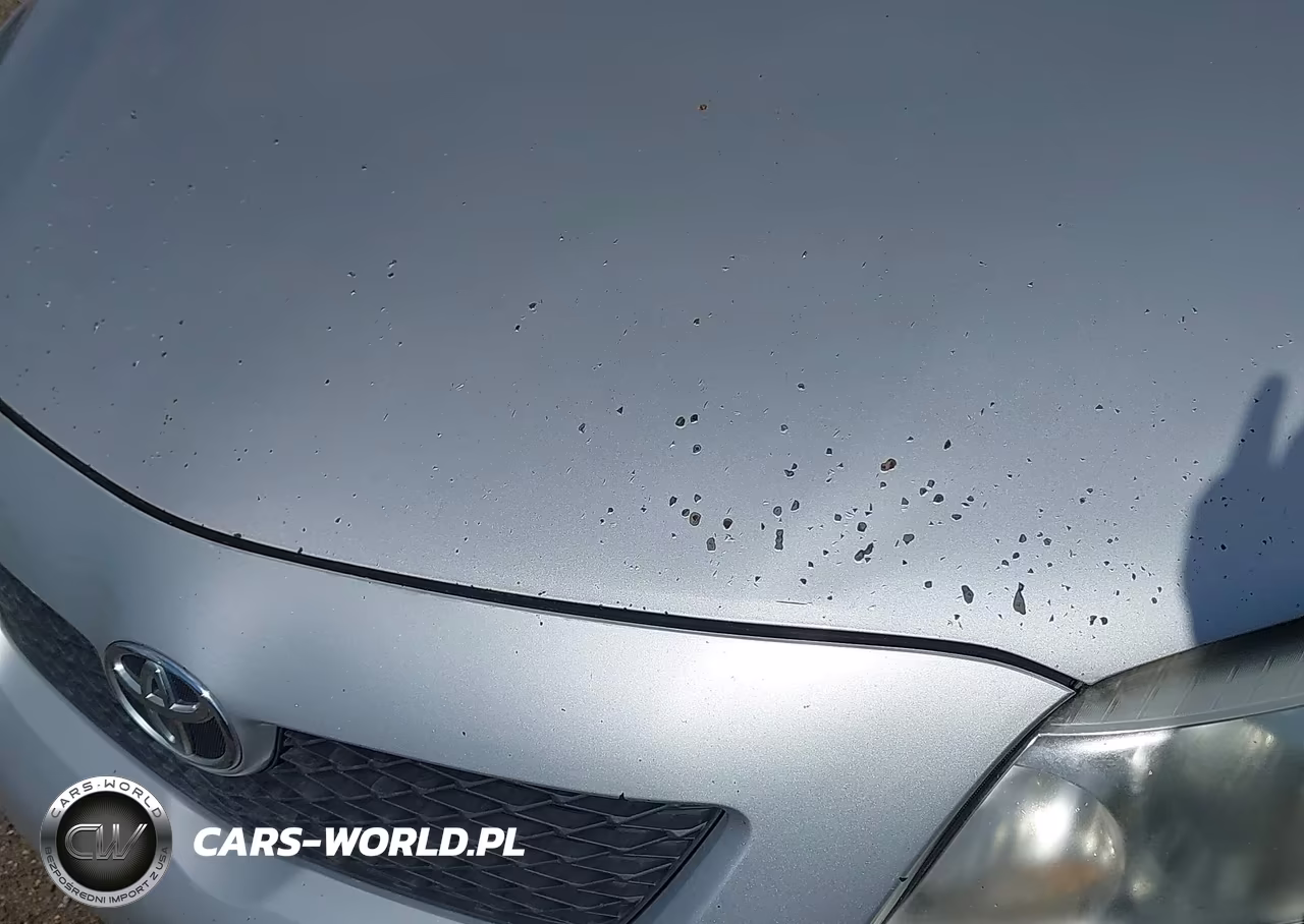 2010 Toyota Corolla Le VIN:2T1BU4EE9AC337279 - 16
