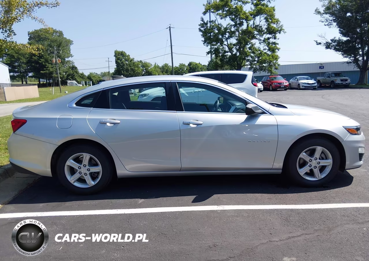 2020 Chevrolet Malibu Fwd 1Fl VIN:1G1ZC5ST3LF099393 - 17