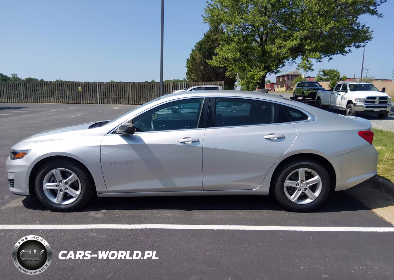 2020 Chevrolet Malibu Fwd 1Fl VIN:1G1ZC5ST3LF099393 - 18