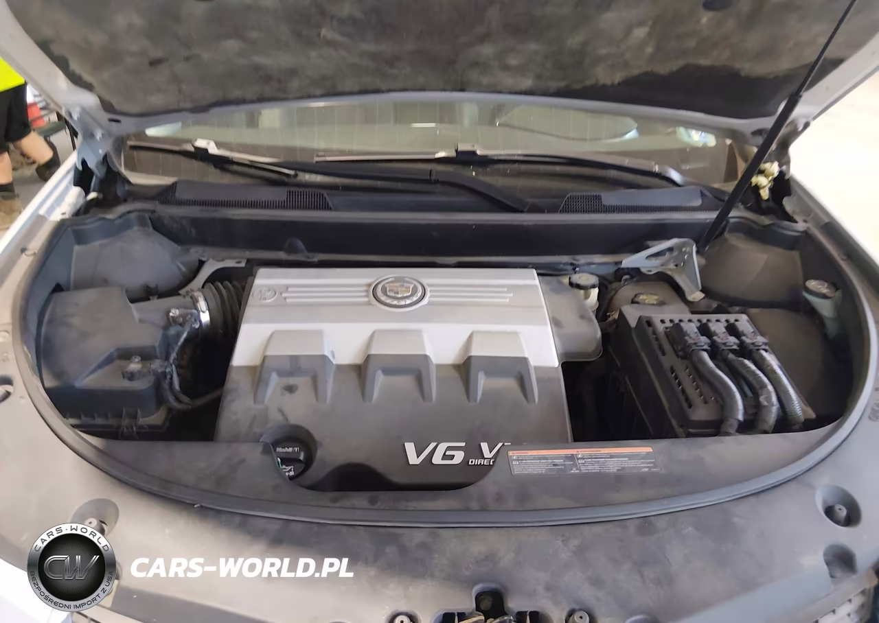 2010 Cadillac Srx Luxury Collection VIN:3GYFNAEY4AS533330 - 10