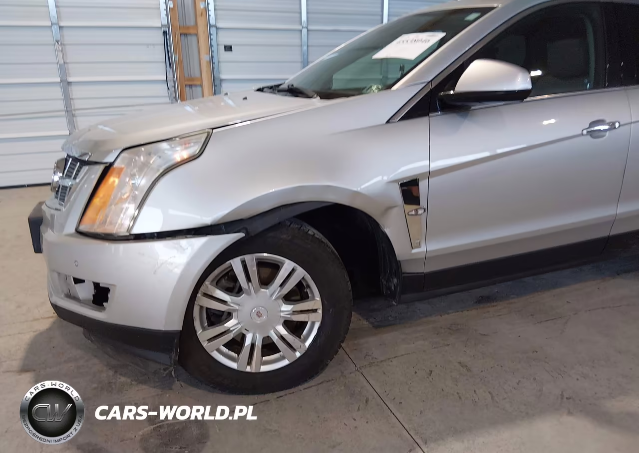2010 Cadillac Srx Luxury Collection VIN:3GYFNAEY4AS533330 - 6