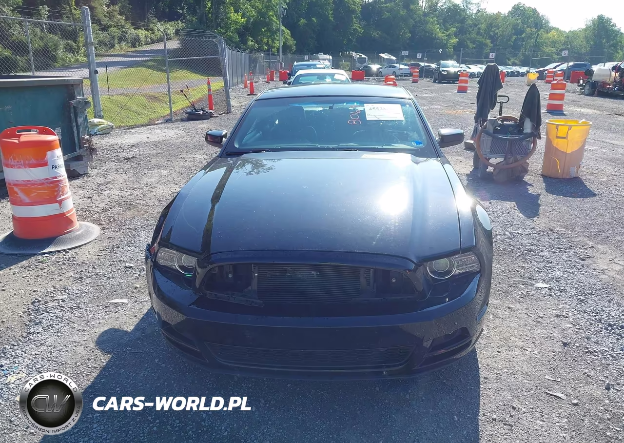 2013 Ford Mustang V6-V6 Premium VIN:1ZVBP8AM7D5243072 - 12