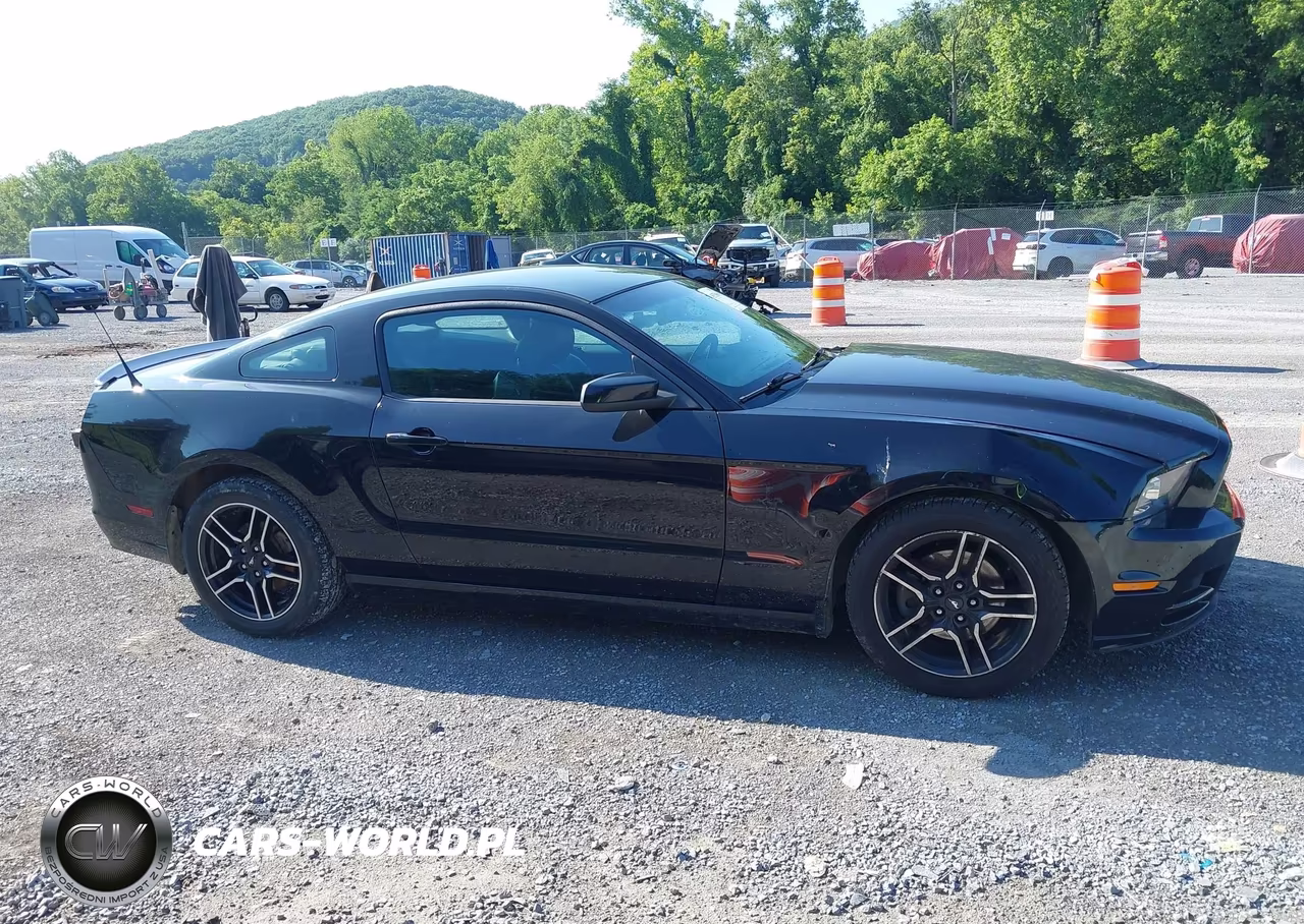 2013 Ford Mustang V6-V6 Premium VIN:1ZVBP8AM7D5243072 - 13