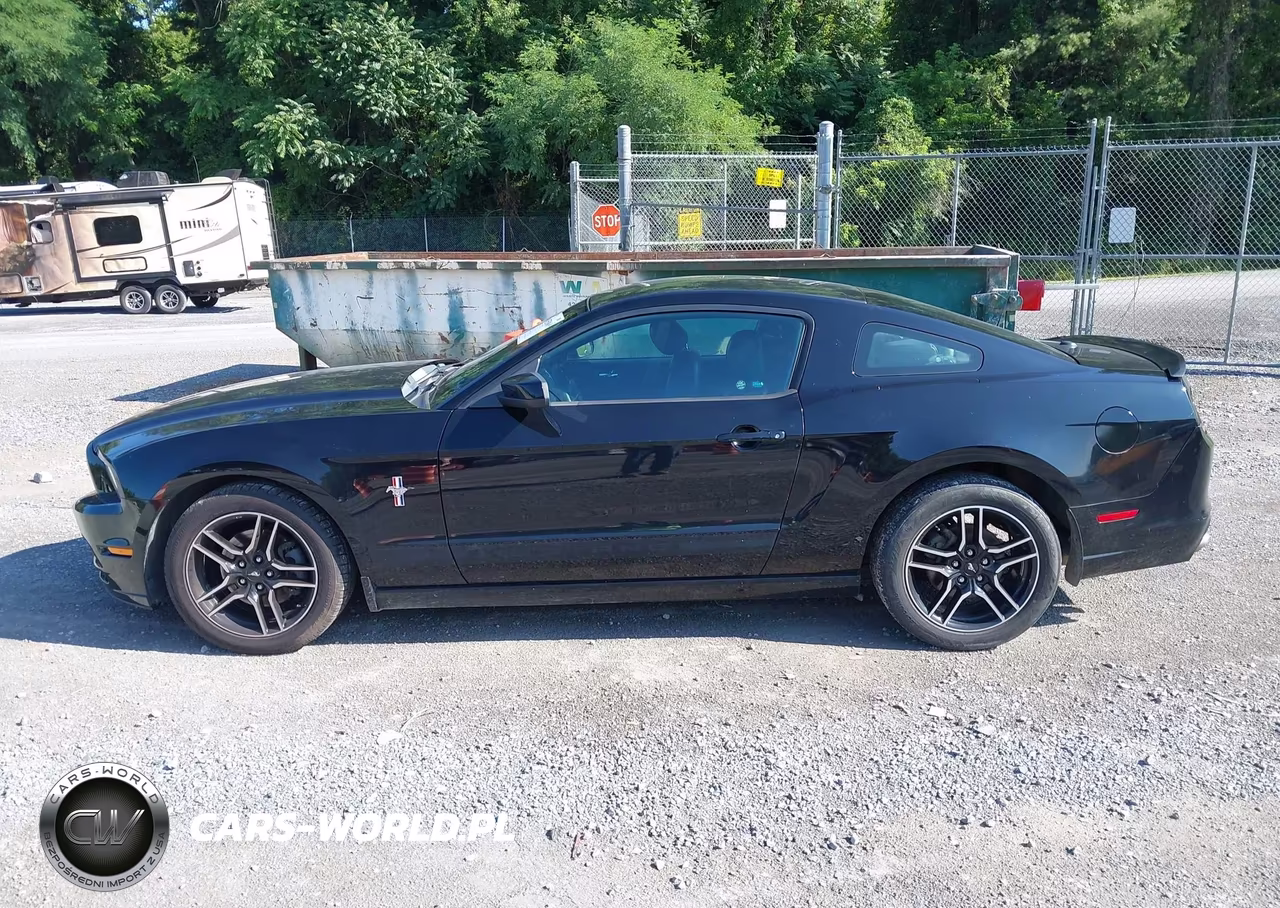 2013 Ford Mustang V6-V6 Premium VIN:1ZVBP8AM7D5243072 - 14