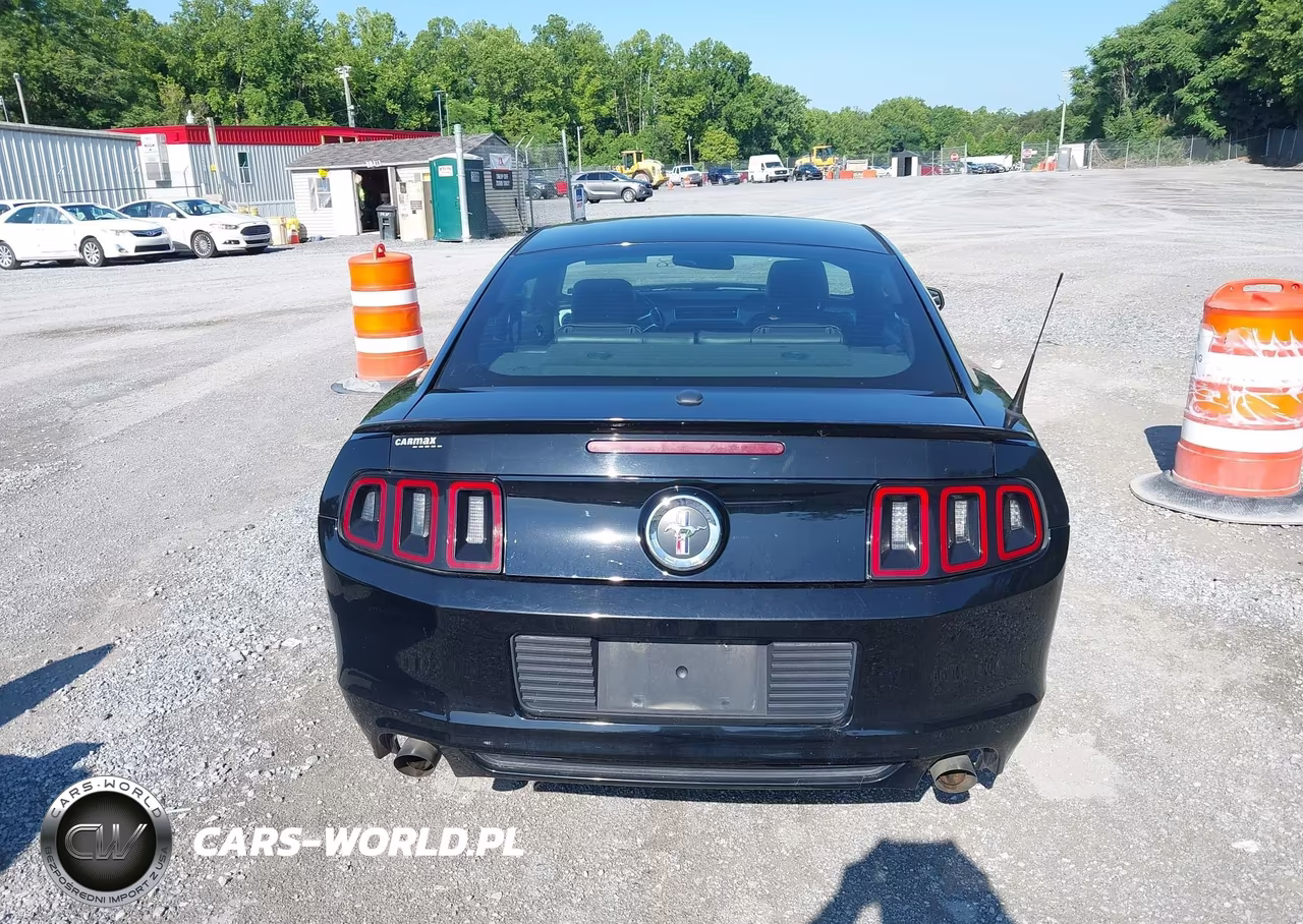2013 Ford Mustang V6-V6 Premium VIN:1ZVBP8AM7D5243072 - 16