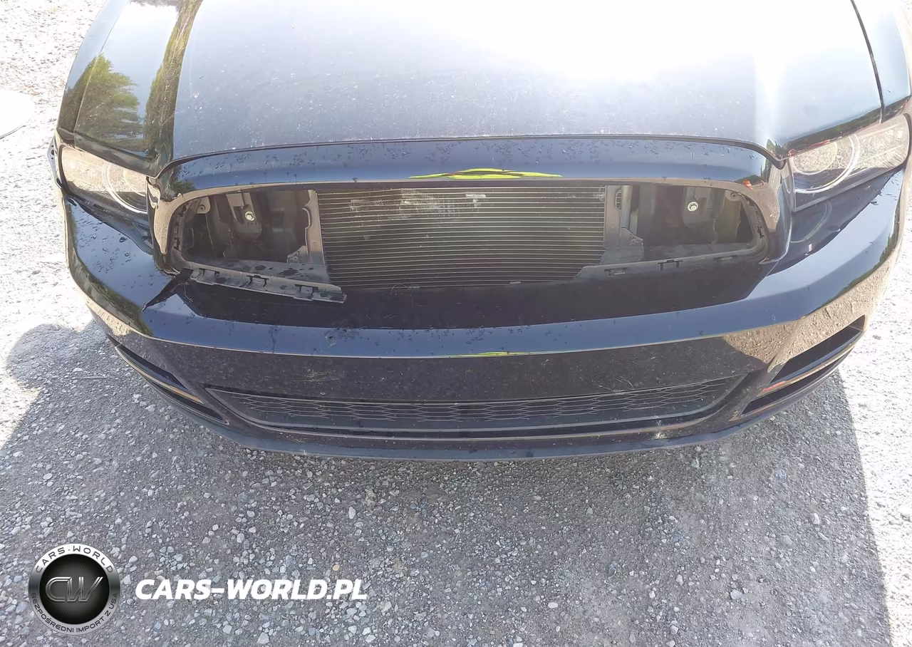 2013 Ford Mustang V6-V6 Premium VIN:1ZVBP8AM7D5243072 - 17