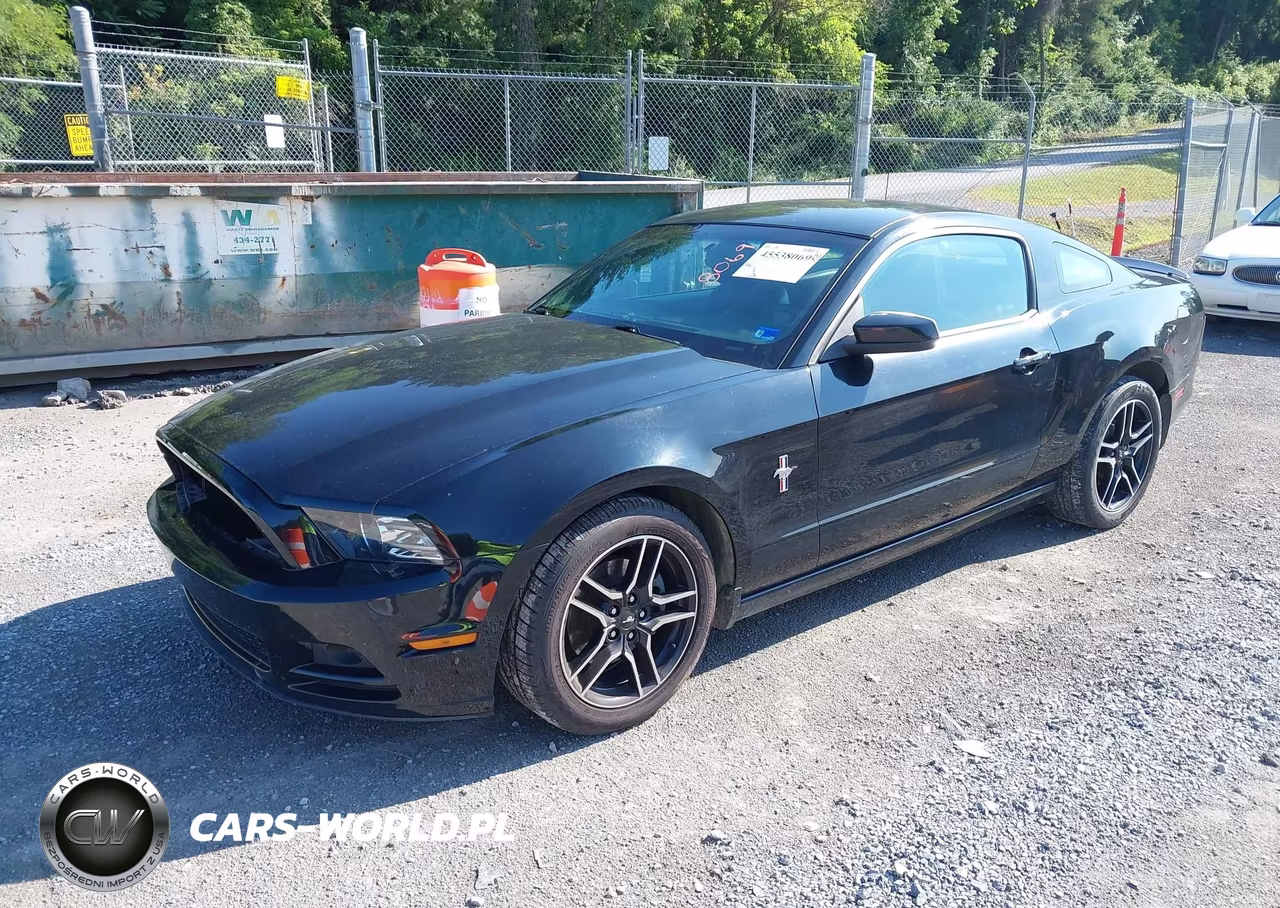 2013 Ford Mustang V6-V6 Premium VIN:1ZVBP8AM7D5243072 - 2