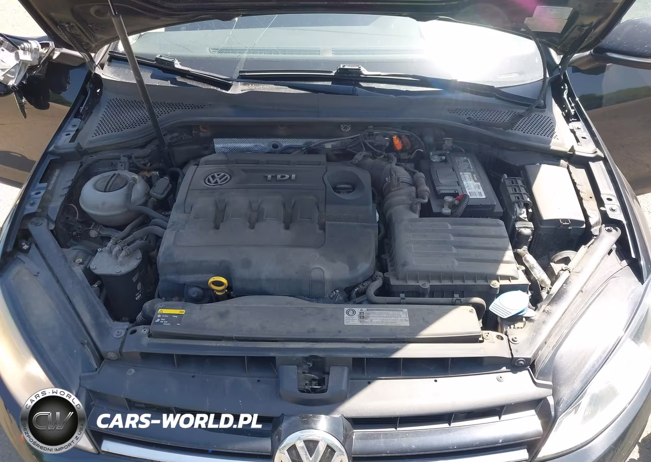 2015 Volkswagen Golf Tdi S 4-Door VIN:3VWRA7AU5FM012260 - 10