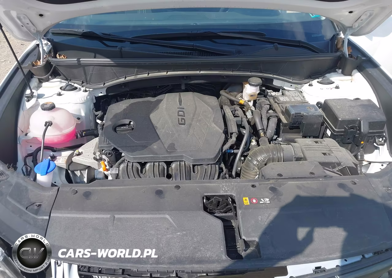 2024 Hyundai Tucson Sel VIN:5NMJBCDE7RH381011 - 10