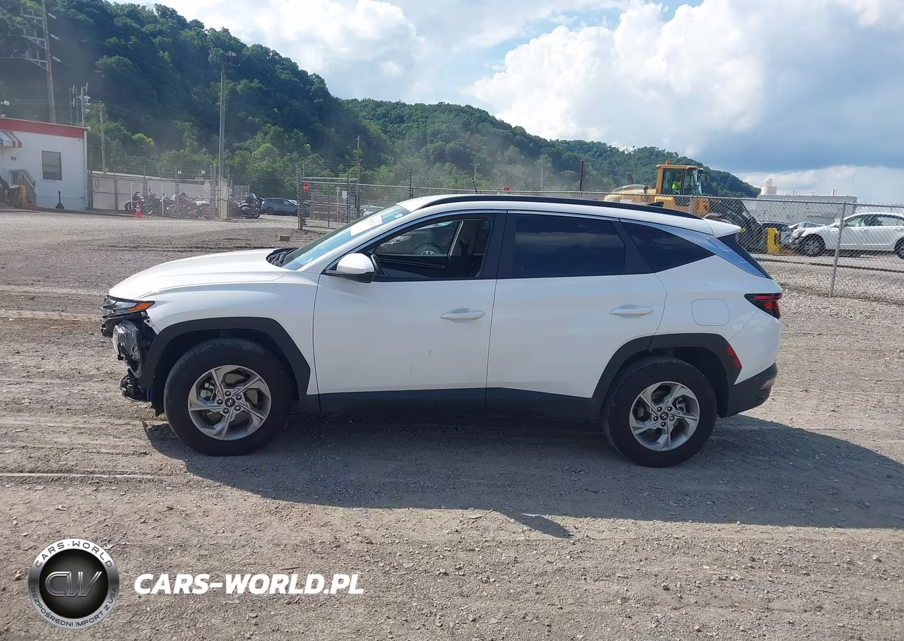 2024 Hyundai Tucson Sel VIN:5NMJBCDE7RH381011 - 15