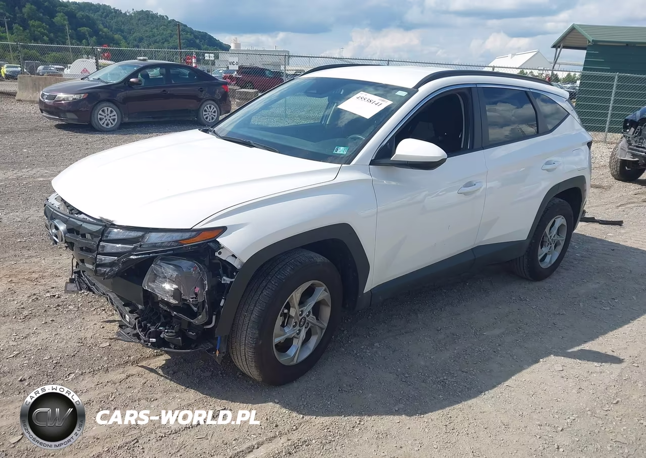 2024 Hyundai Tucson Sel VIN:5NMJBCDE7RH381011 - 2