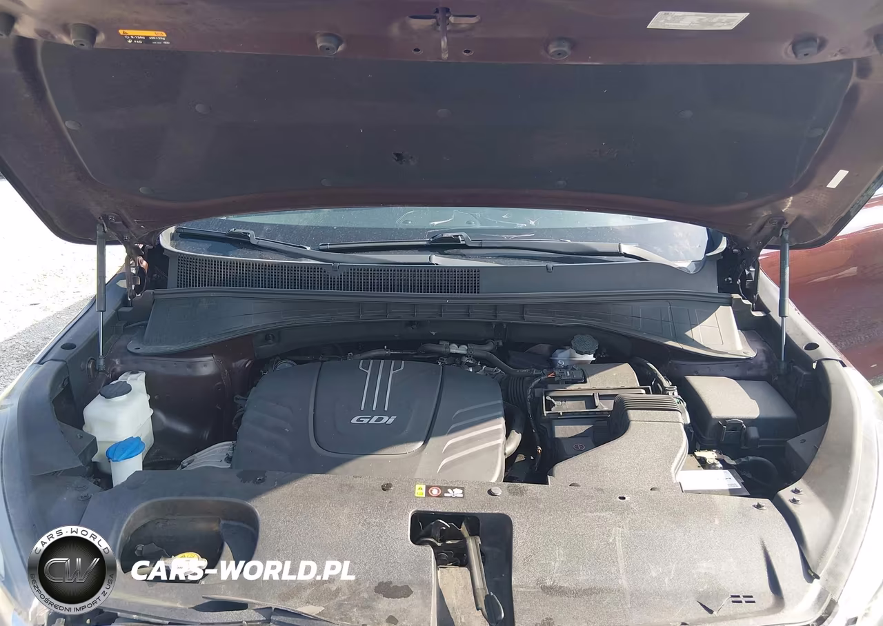 2017 Kia Sorento 3.3L Lx VIN:5XYPGDA57HG317209 - 10
