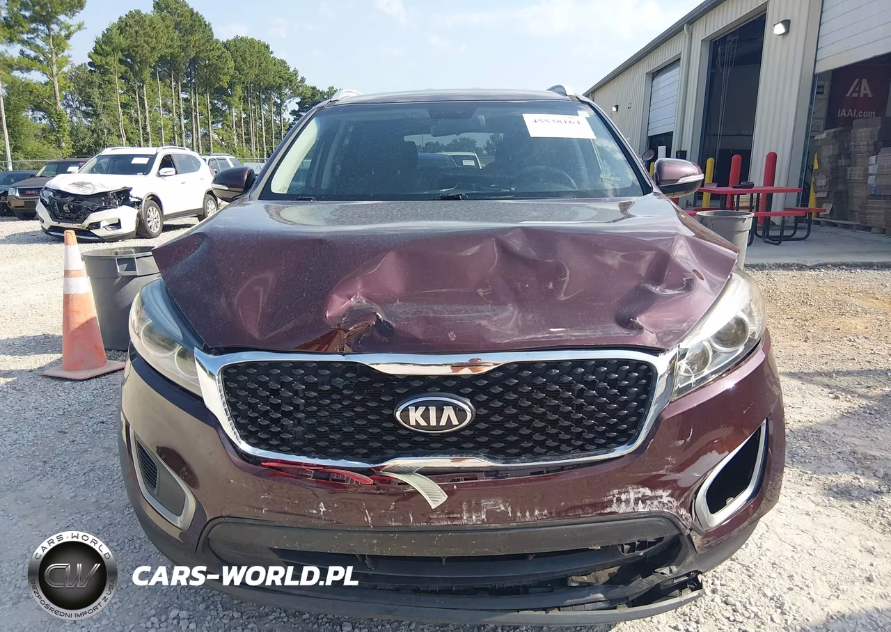 2017 Kia Sorento 3.3L Lx VIN:5XYPGDA57HG317209 - 12