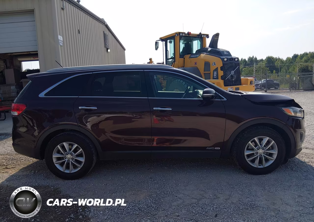 2017 Kia Sorento 3.3L Lx VIN:5XYPGDA57HG317209 - 13