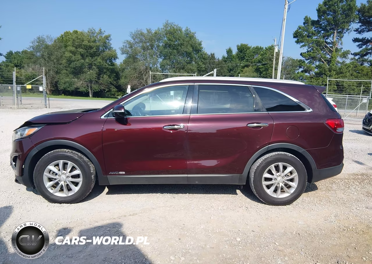 2017 Kia Sorento 3.3L Lx VIN:5XYPGDA57HG317209 - 14