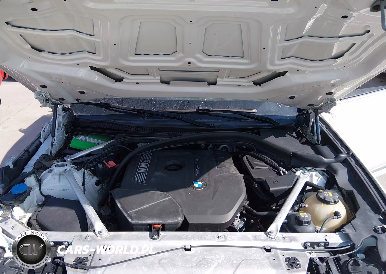 2019 BMW X3 Sdrive30I VIN:5UXTR7C54KLF25018 - 10