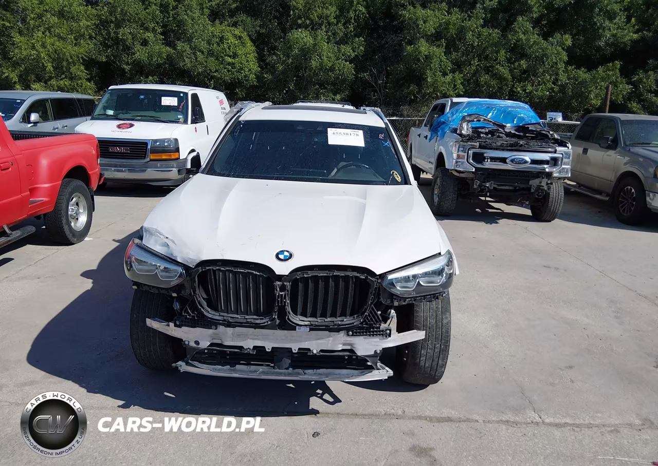 2019 BMW X3 Sdrive30I VIN:5UXTR7C54KLF25018 - 12