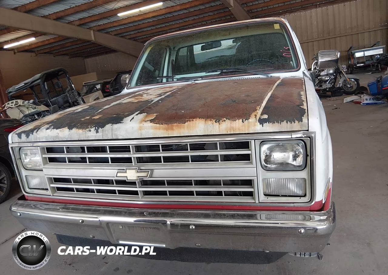 1986 Chevrolet C10 VIN:1GCDC14H6GF411165 - 12