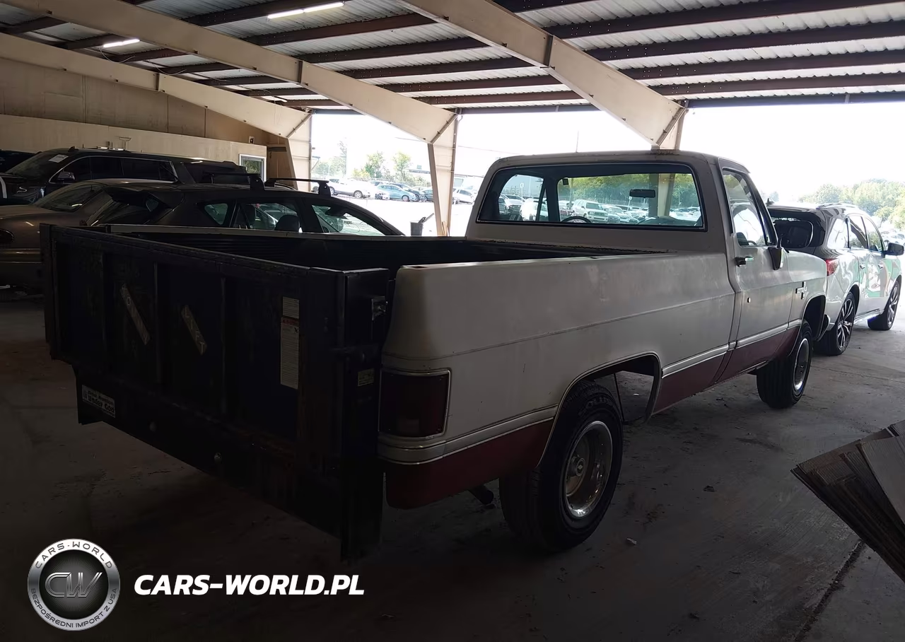 1986 Chevrolet C10 VIN:1GCDC14H6GF411165 - 4