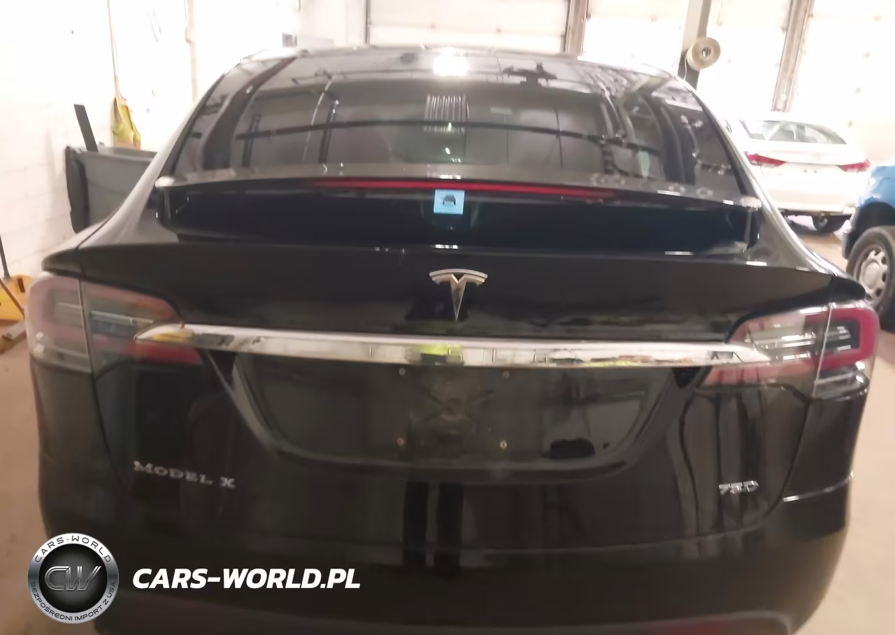 2018 Tesla Model X 100D-75D-P100D VIN:5YJXCBE21JF112787 - 16