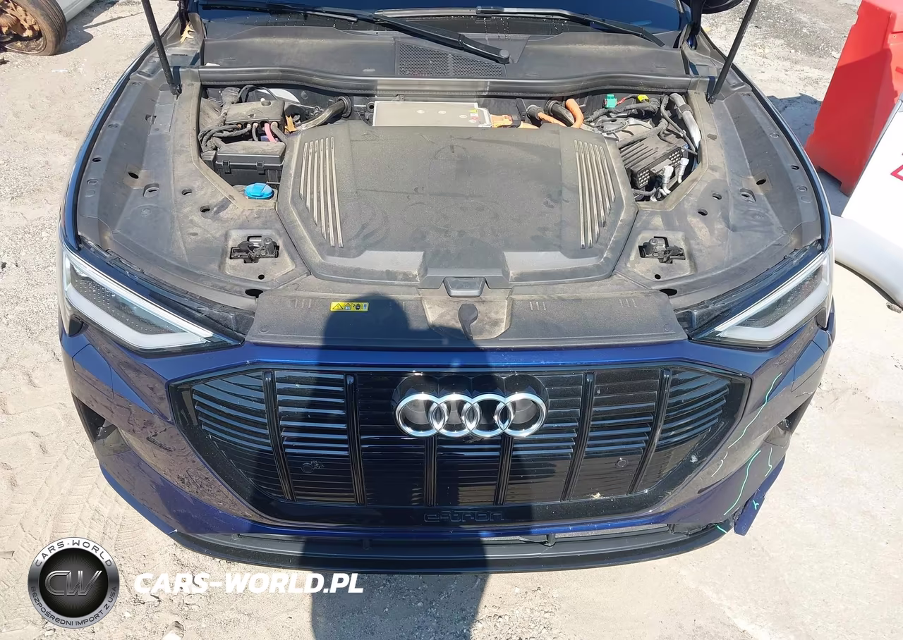 2022 Audi E-Tron Premium Quattro VIN:WA1AAAGE4NB012120 - 10